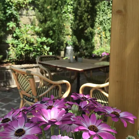 Rustique 3* 博福特