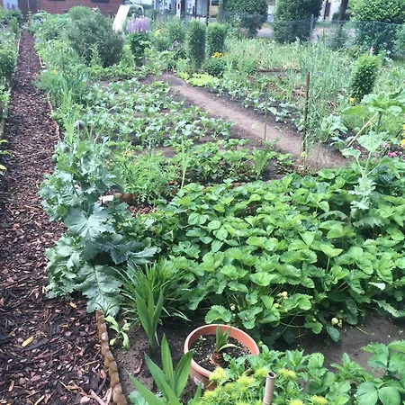 酒店 Rustique 博福特