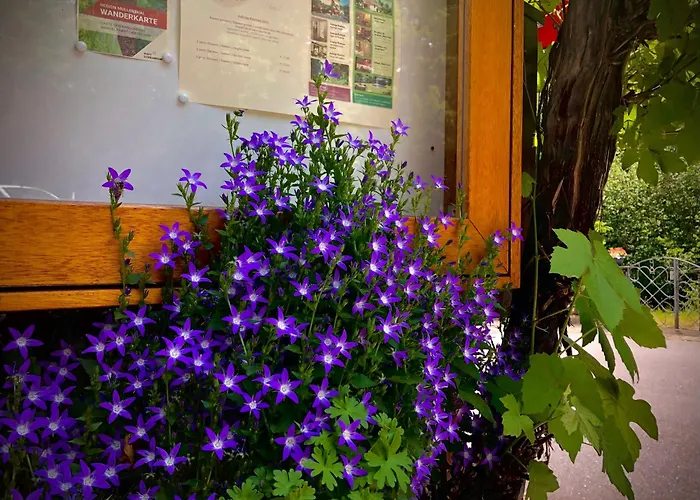 Rustique 3* Beaufort