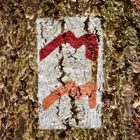 Rustique Szálloda 3*
