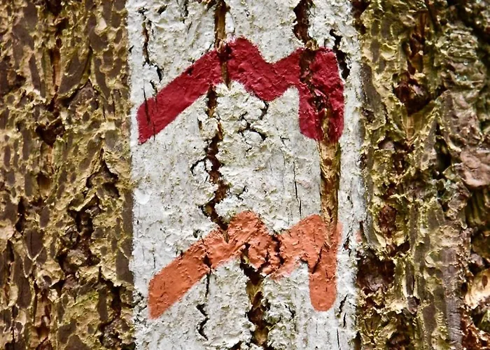 Rustique Szálloda 3*